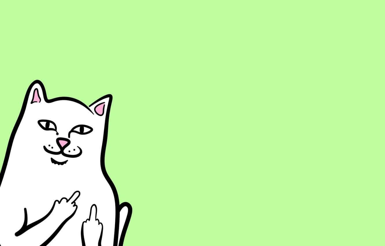 A White Cat With A Finger Up On A Green Background