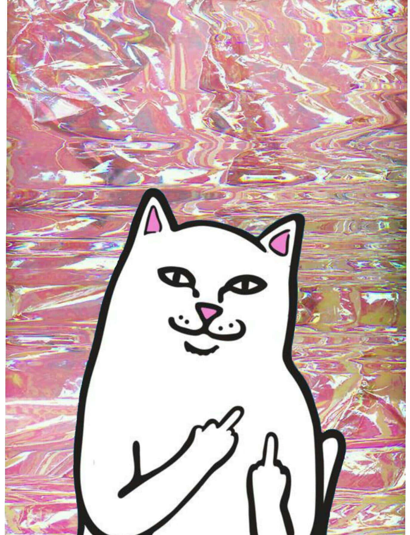 A White Cat With A Pink Holographic Background Background