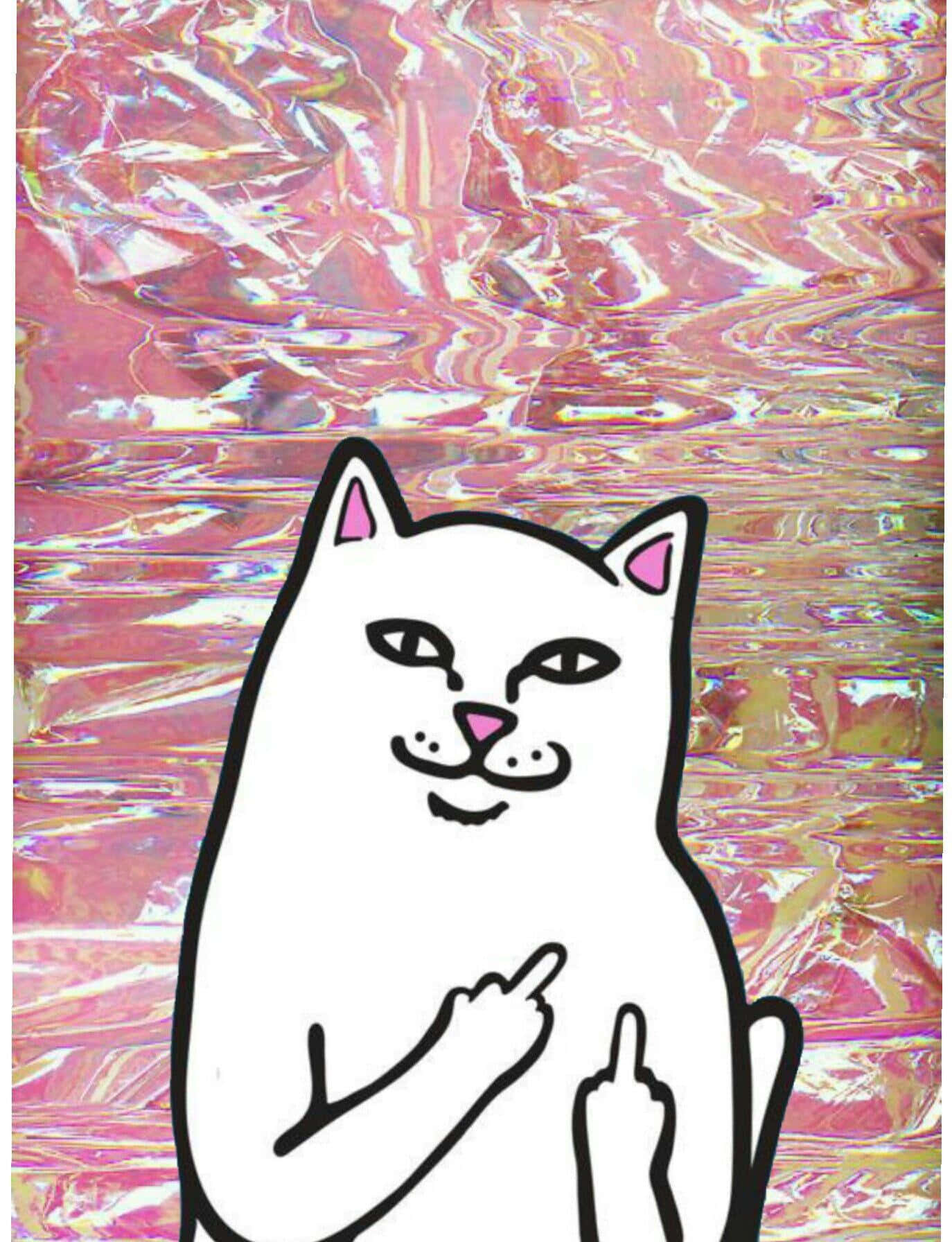 A White Cat With A Pink Holographic Background