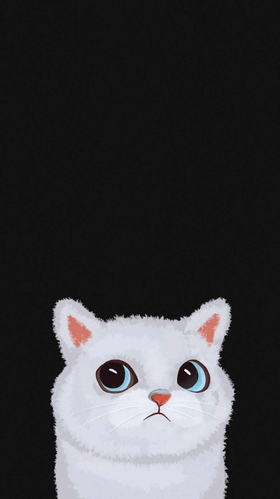 A White Cat With Blue Eyes On A Black Background