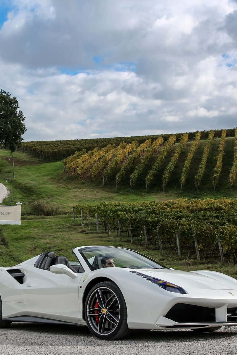 A White Ferrari Sports Car Parked In Front Of Vineyards Background