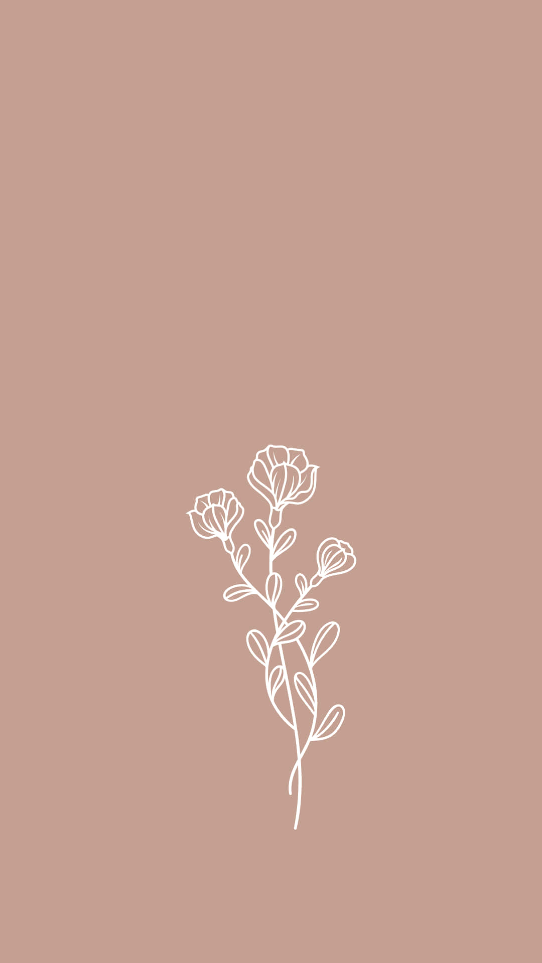 A White Flower On A Beige Background Background