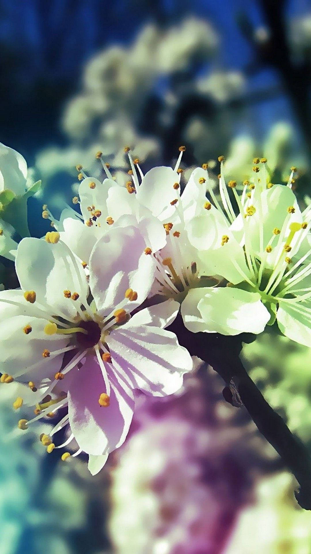 A White Flower On A Branch Background