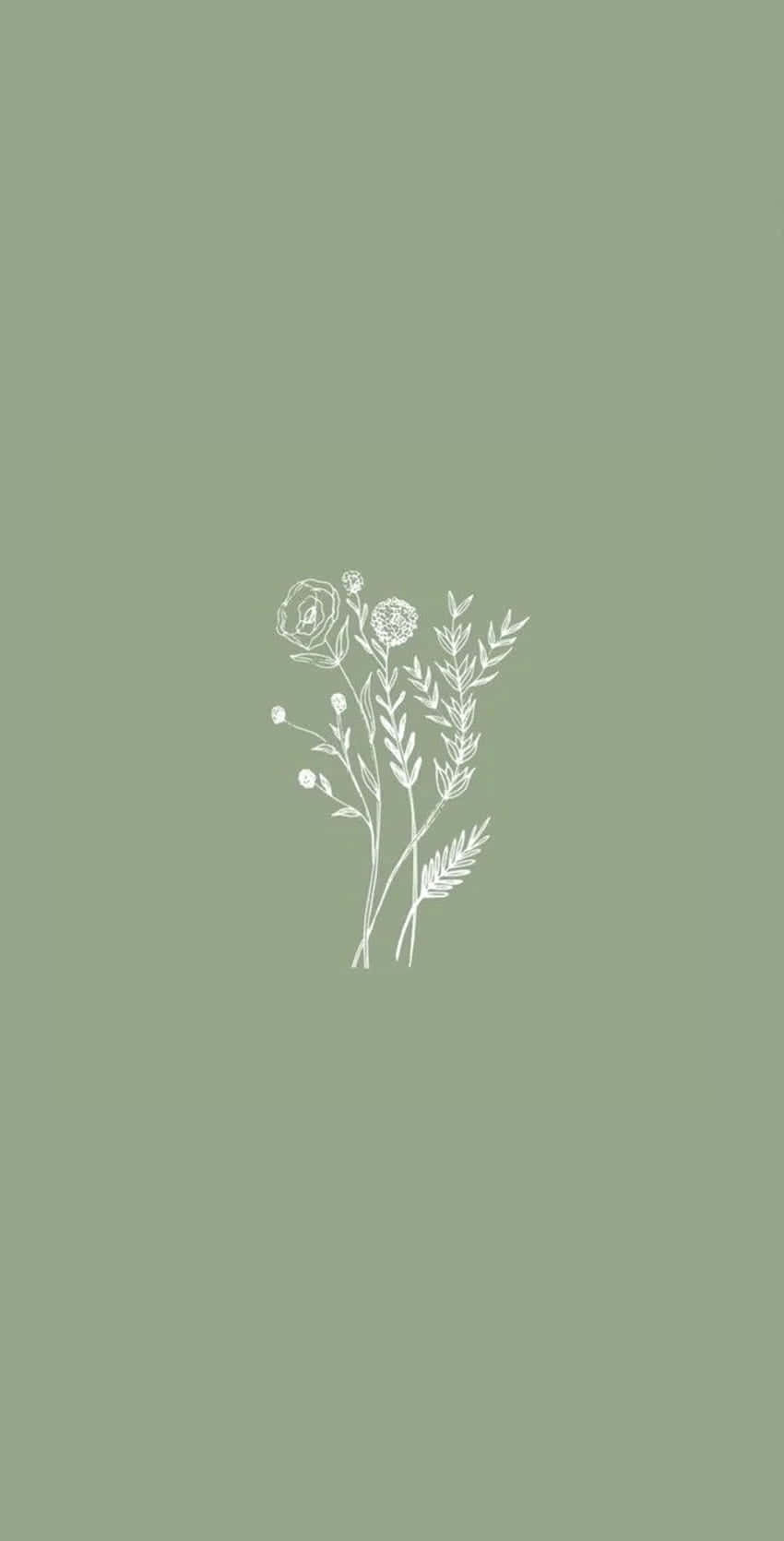 A White Flower On A Green Background Background