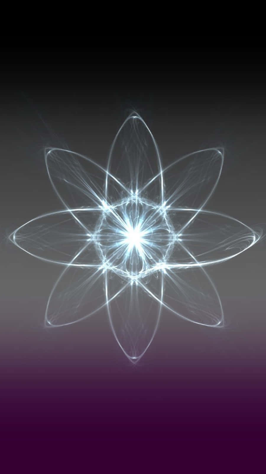 A White Flower With A Light Shining Through It Background