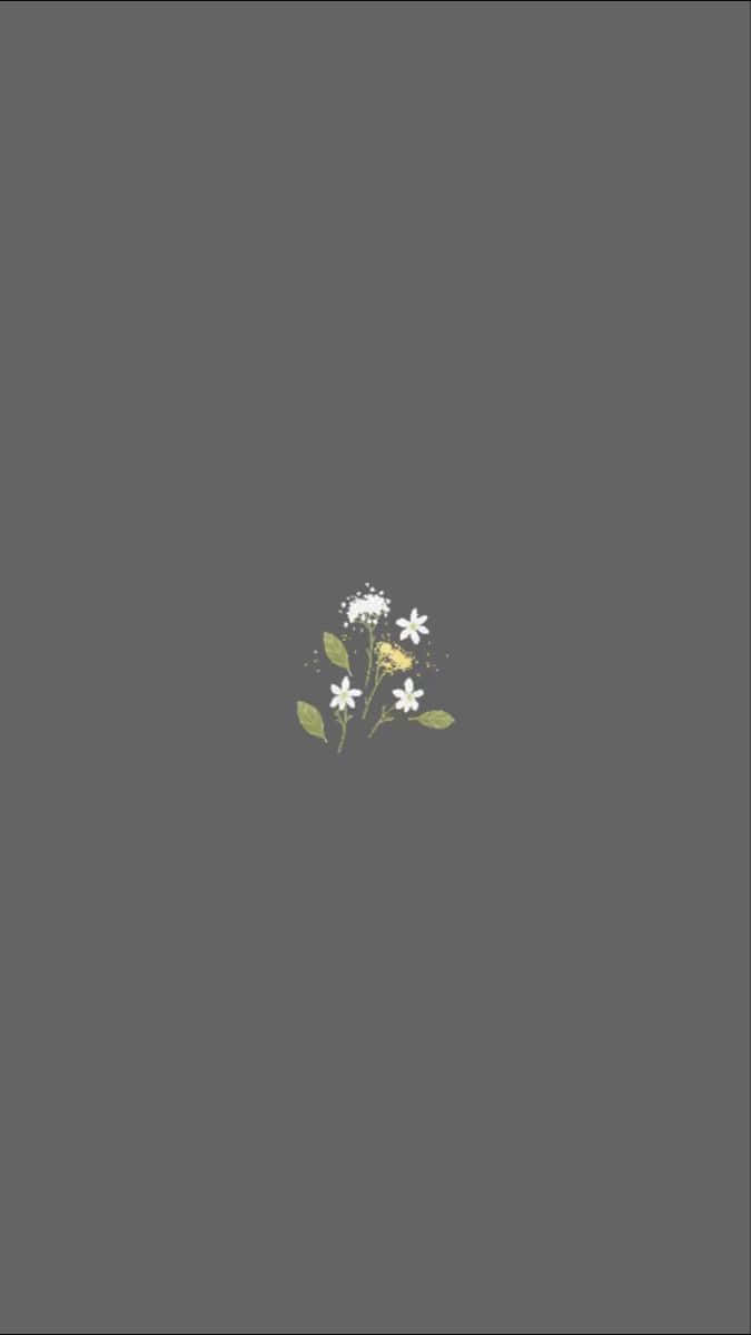 A White Flower With A Yellow Flower On A Gray Background Background