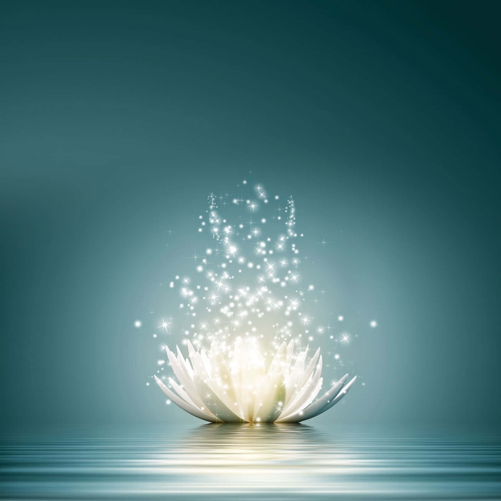 A White Lotus Flower With Stars On The Water Background