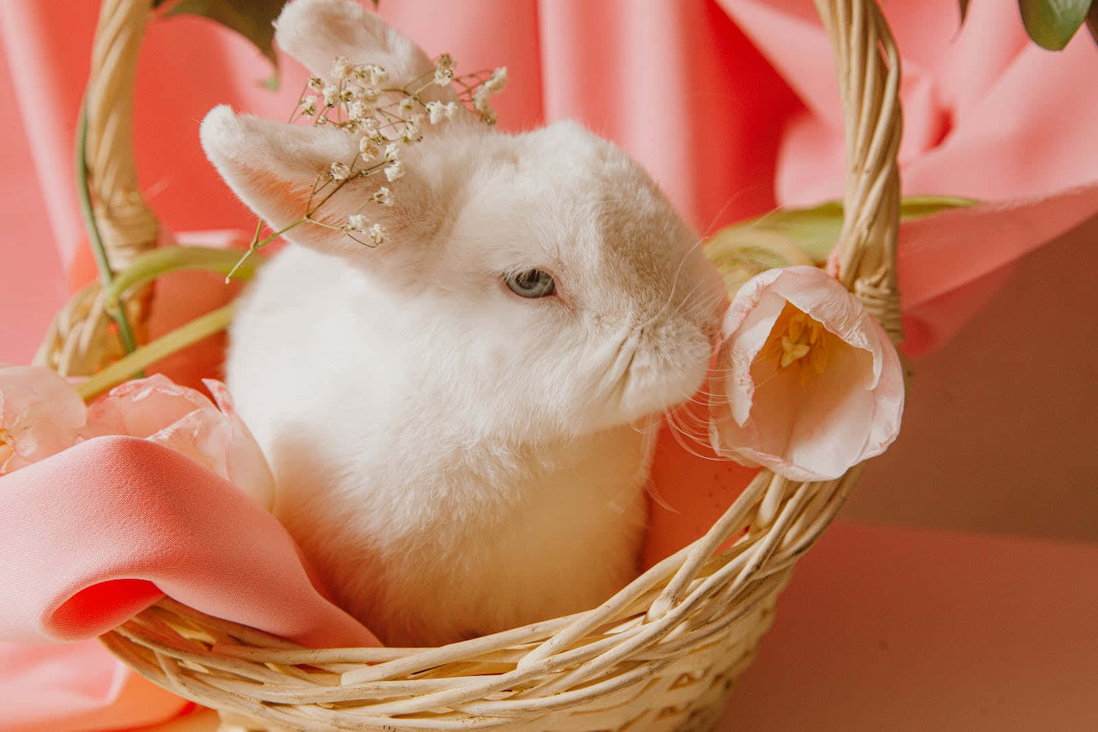 A White Rabbit In A Basket With Flowers