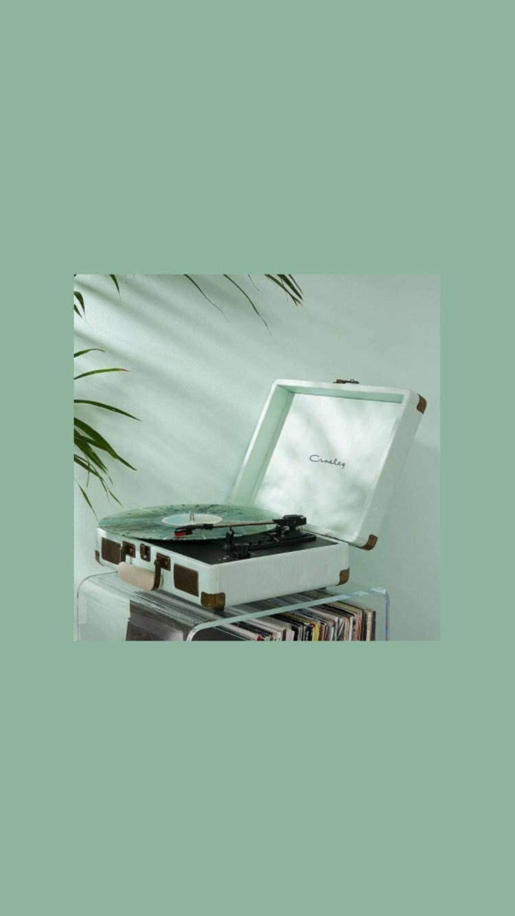 A White Record Player With A Plant On Top Background