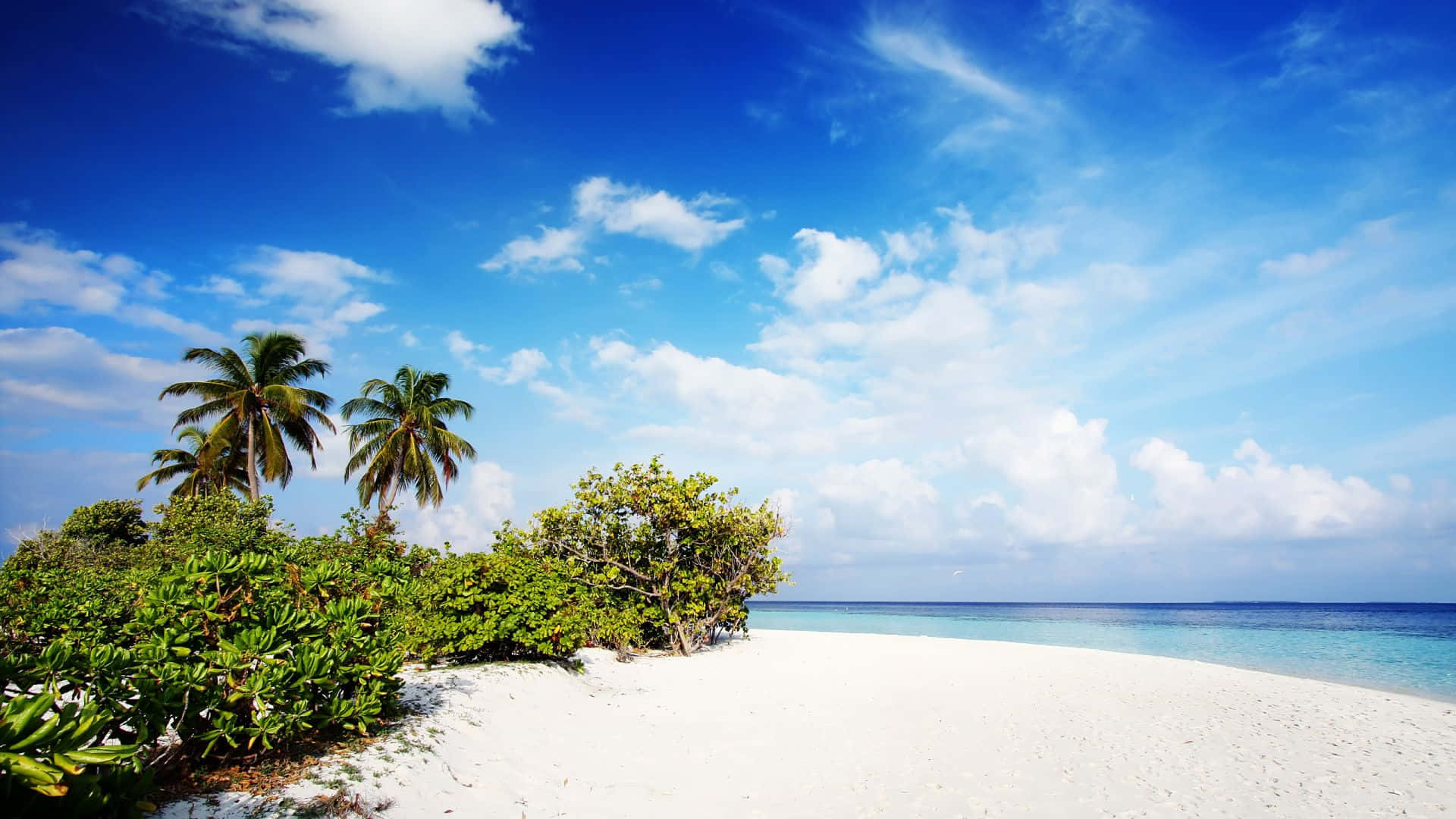 A White Sandy Beach With Palm Trees And Blue Water Background