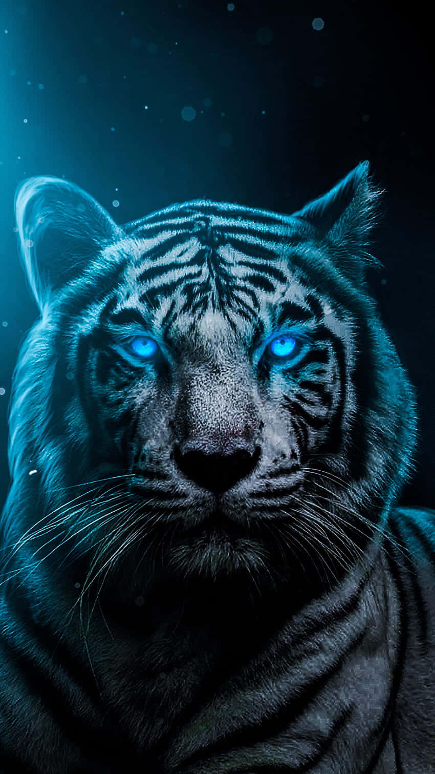 A White Tiger With Blue Eyes In The Dark Background