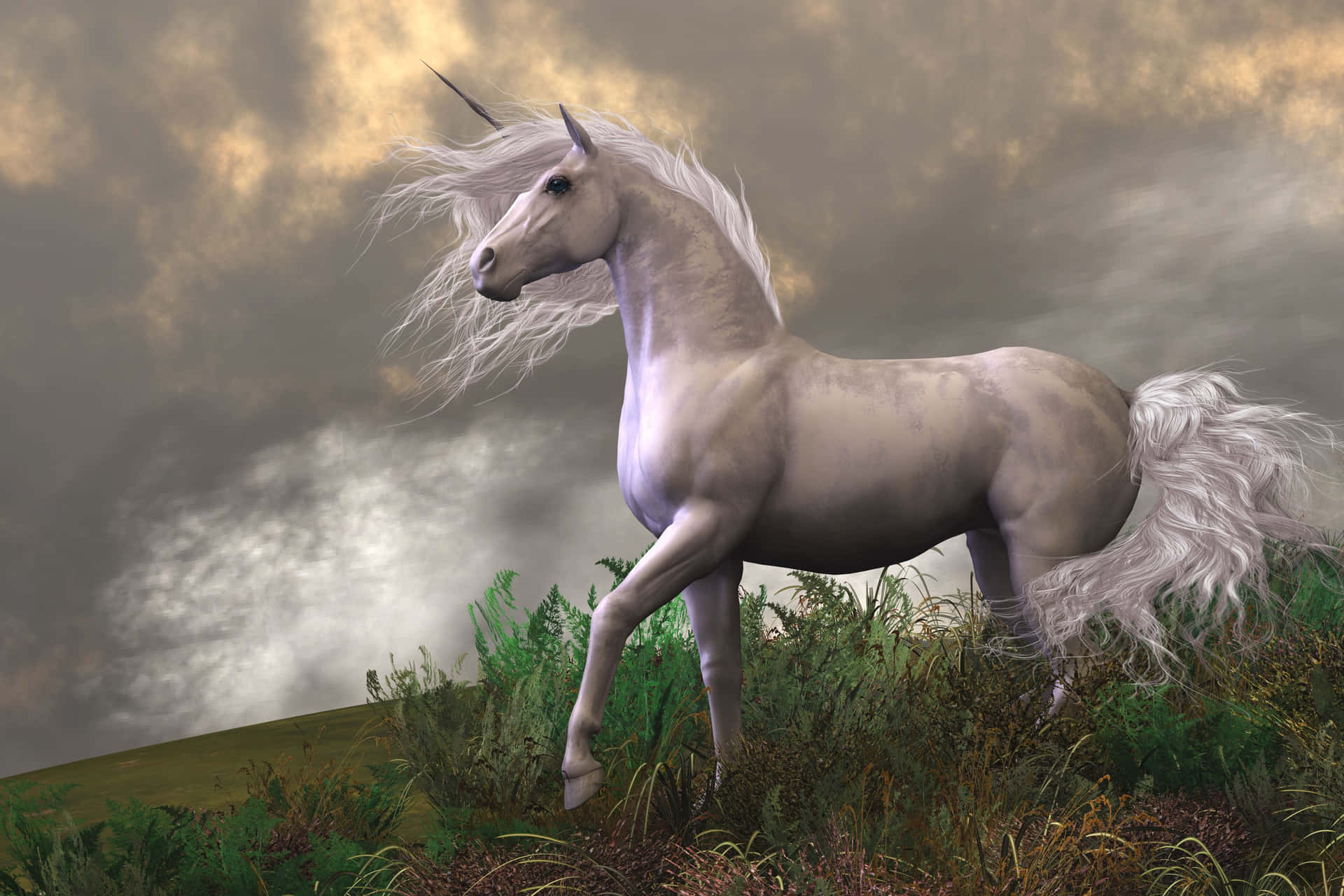 A White Unicorn In The Grass Background