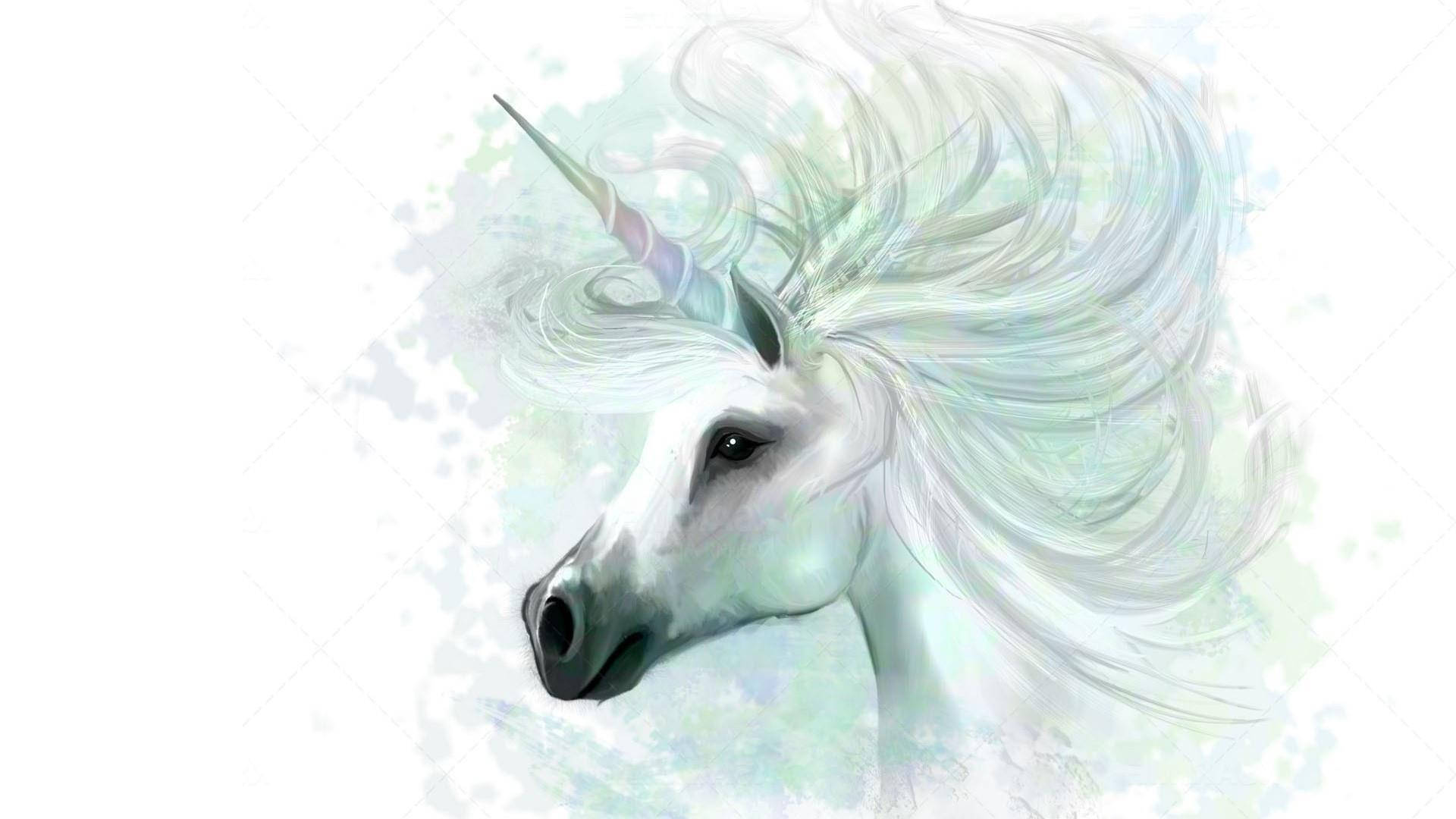 A White Unicorn With A Long Mane Background