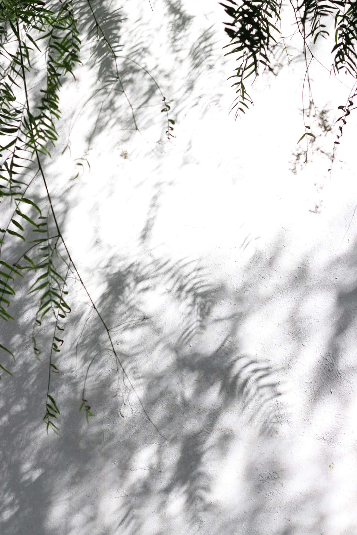 A White Wall With A Bench Background