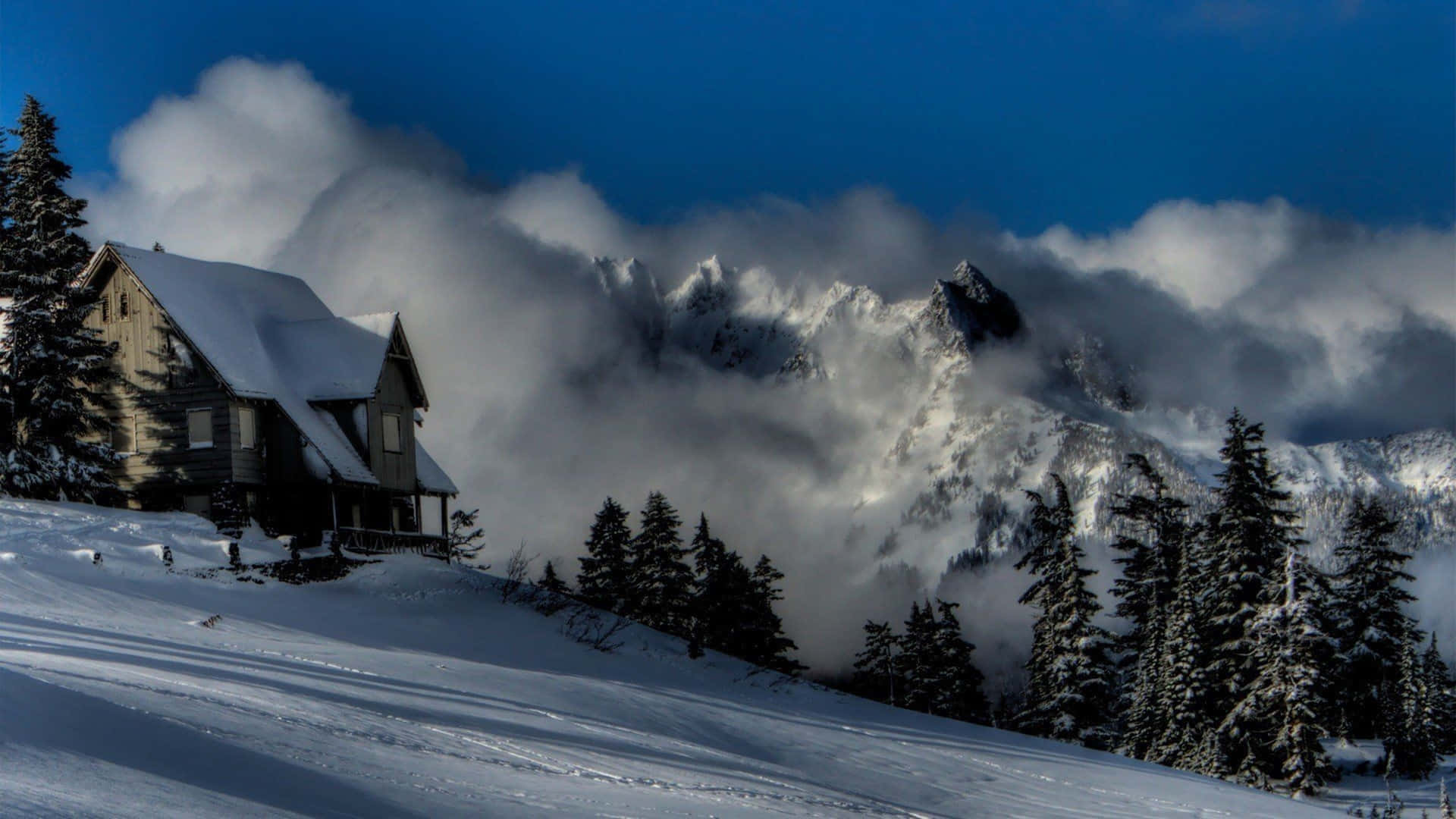 “a White Wonderland” Background