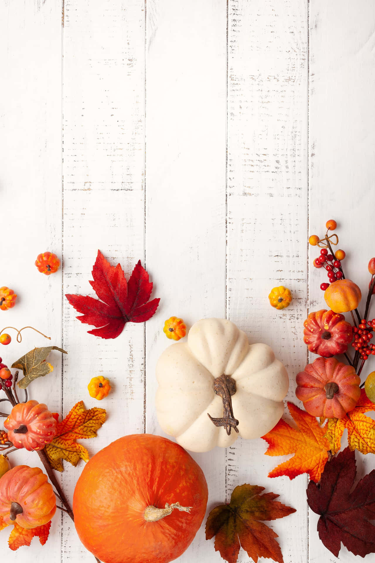 A White Wooden Table With Pumpkins And Leaves Background