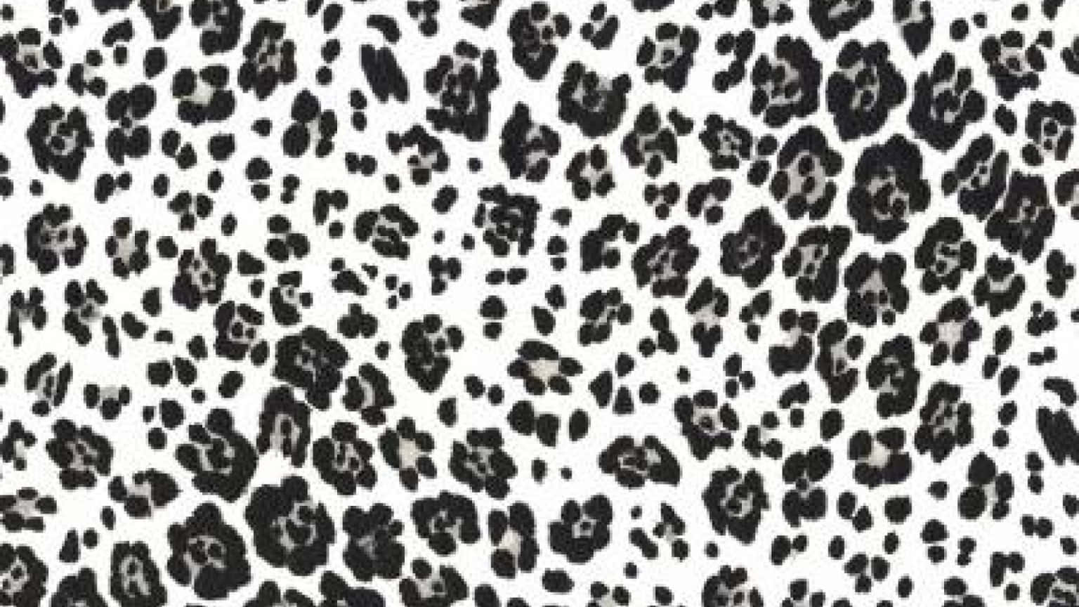 A Wild White Leopard Print Pattern On Background Of Black. Background