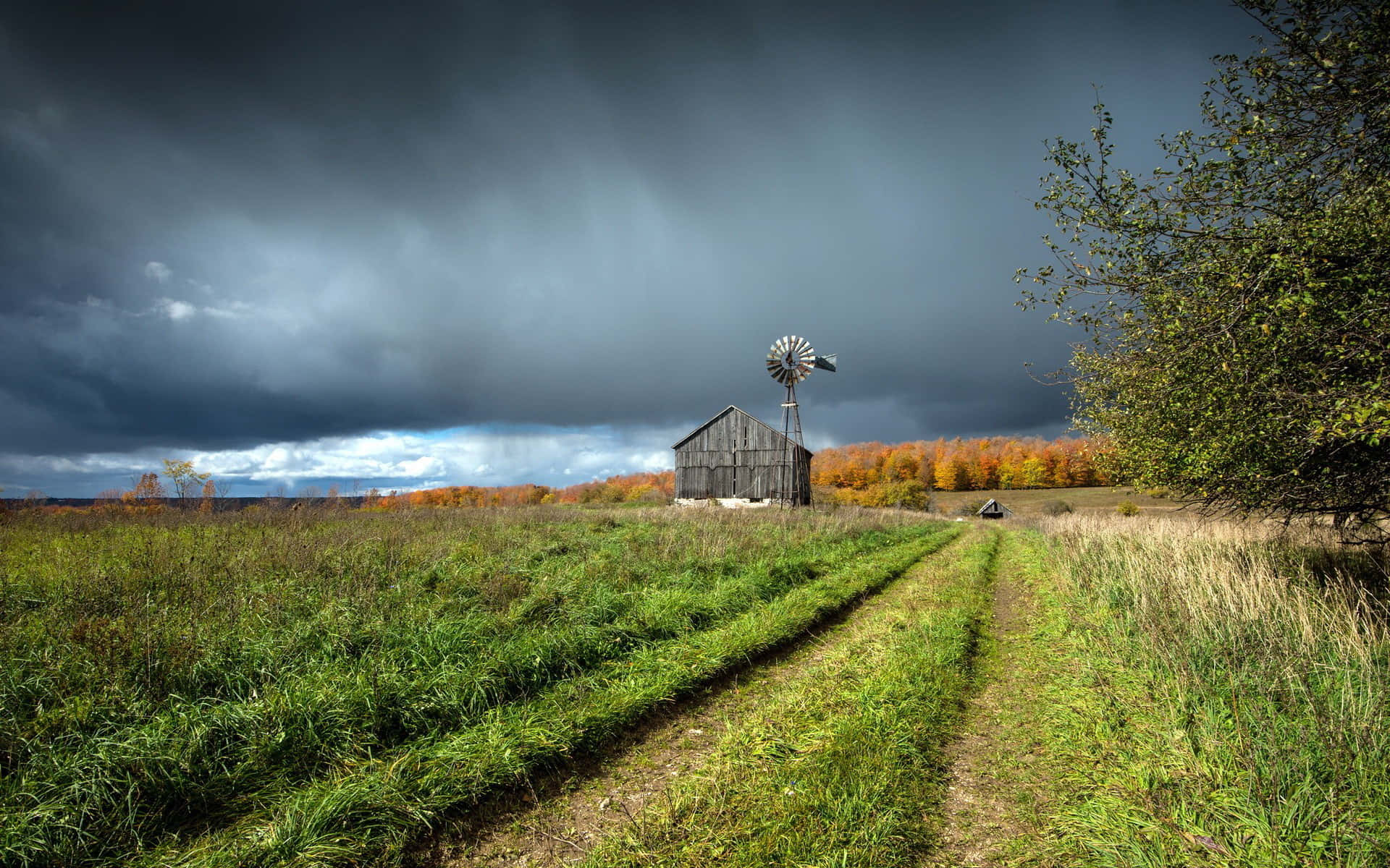 A Windmill In A Field Background
