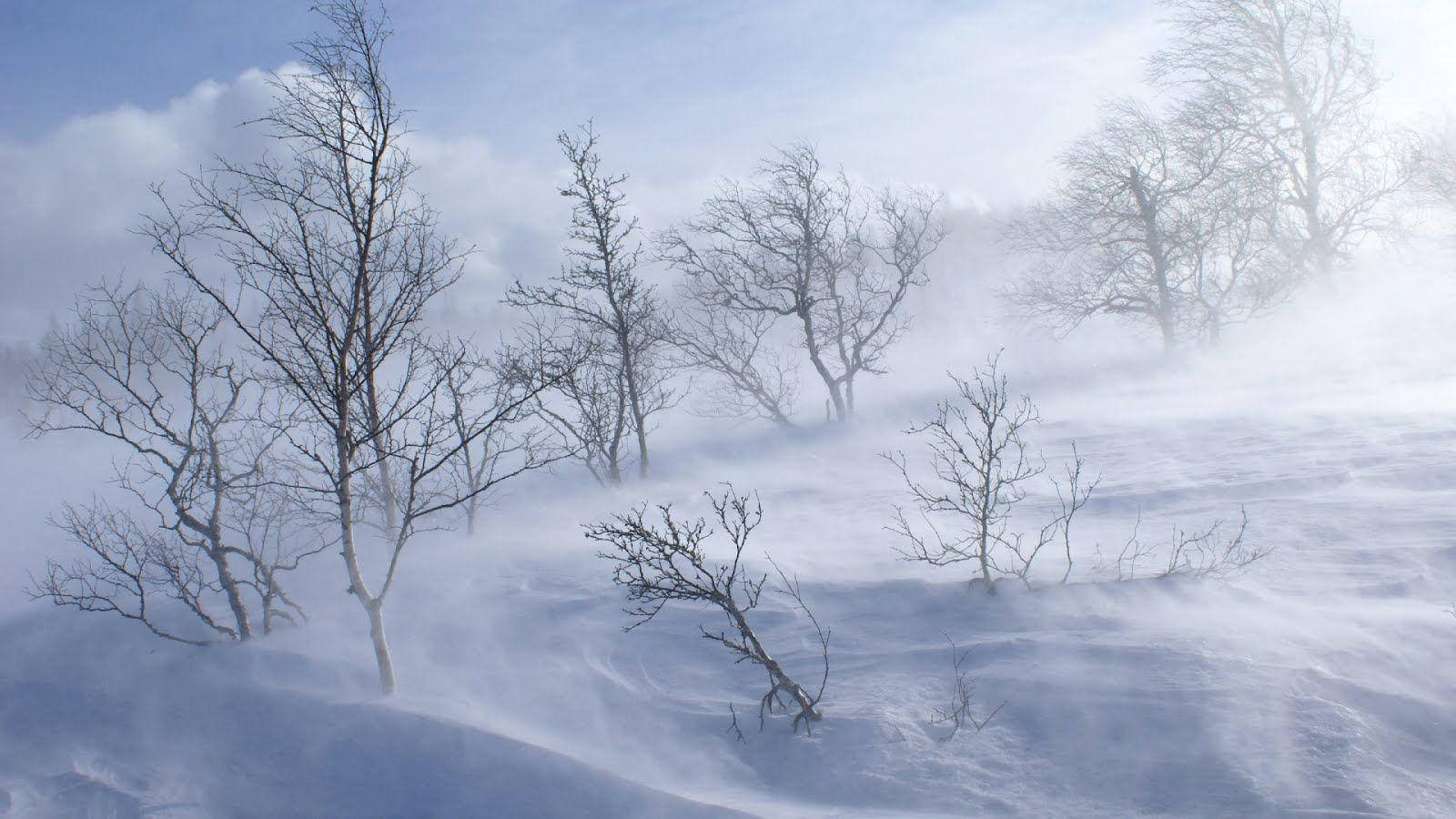 A Windy Winter Wonderland Background