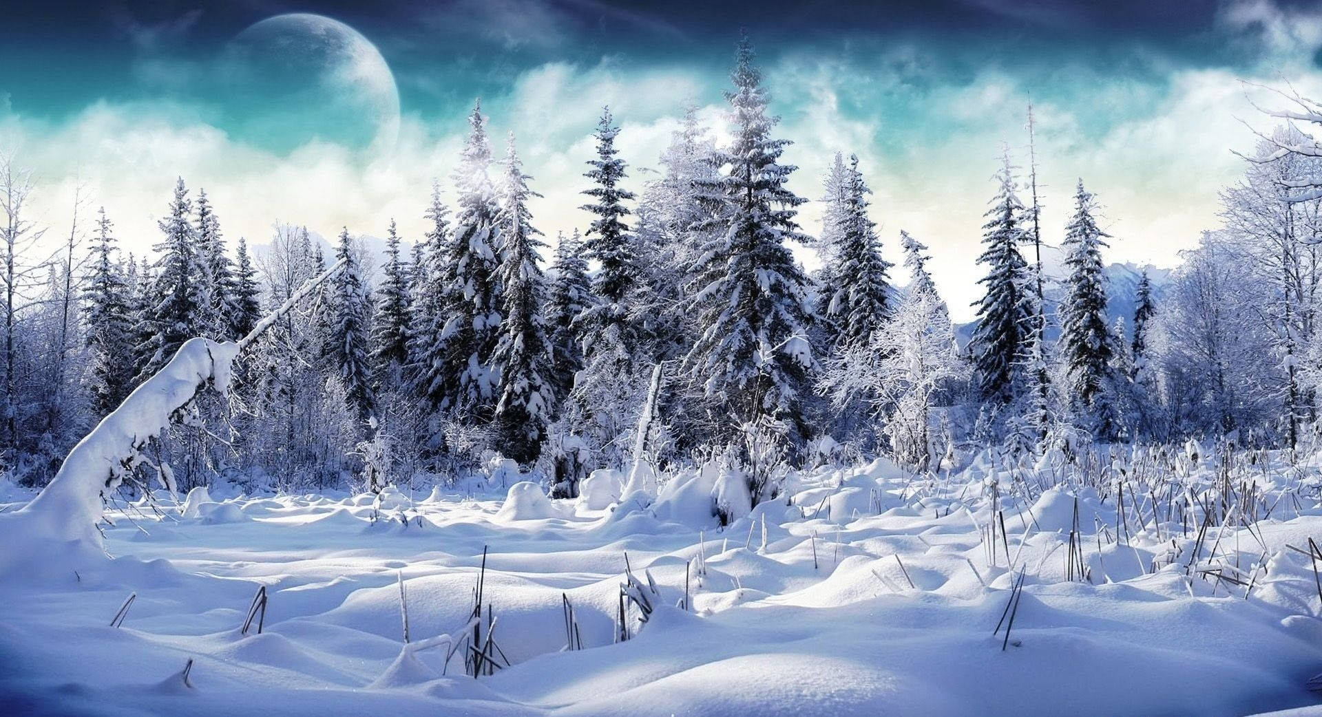 A Winter Scene With Snow Covered Trees And A Moon Background