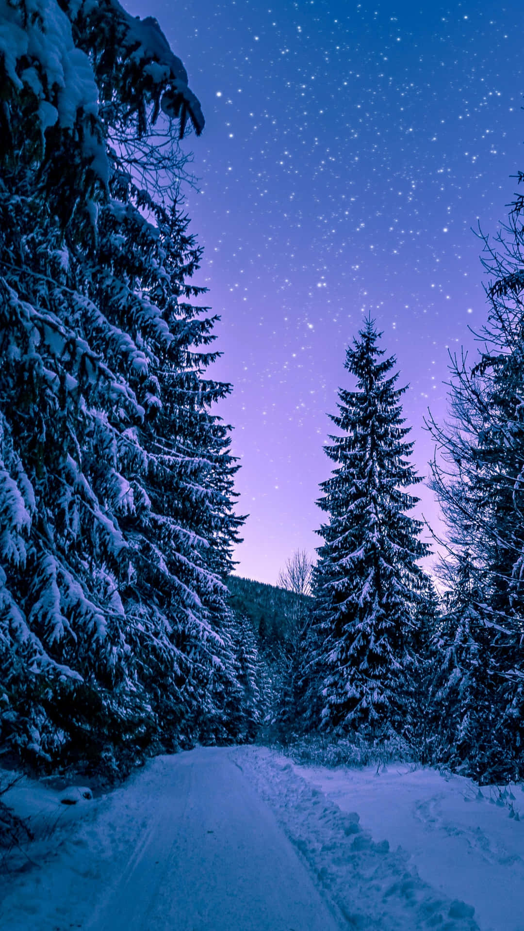 A Winter Snowfall Paints A Peaceful Winter Scene Background