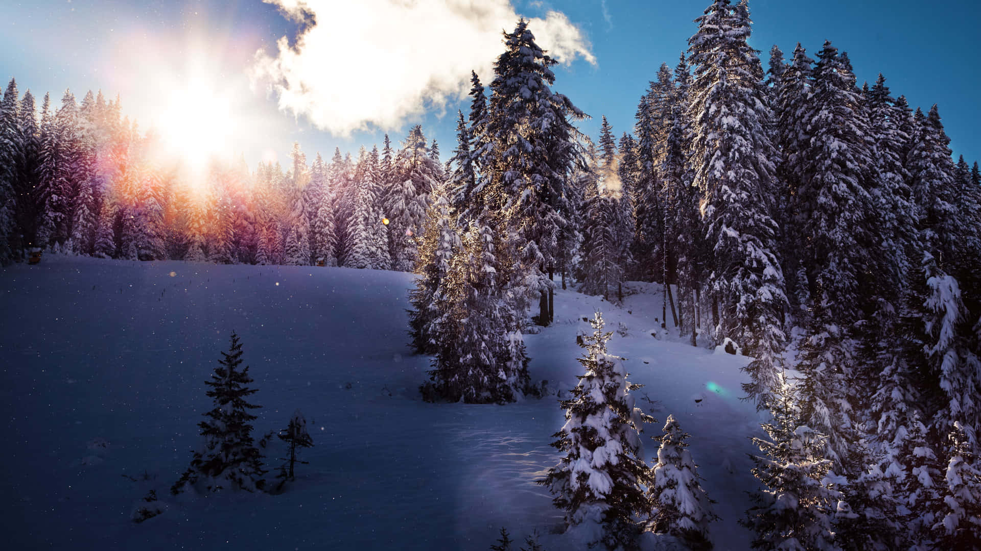 A Winter Wonderland - Enjoy The Snow-covered View Background