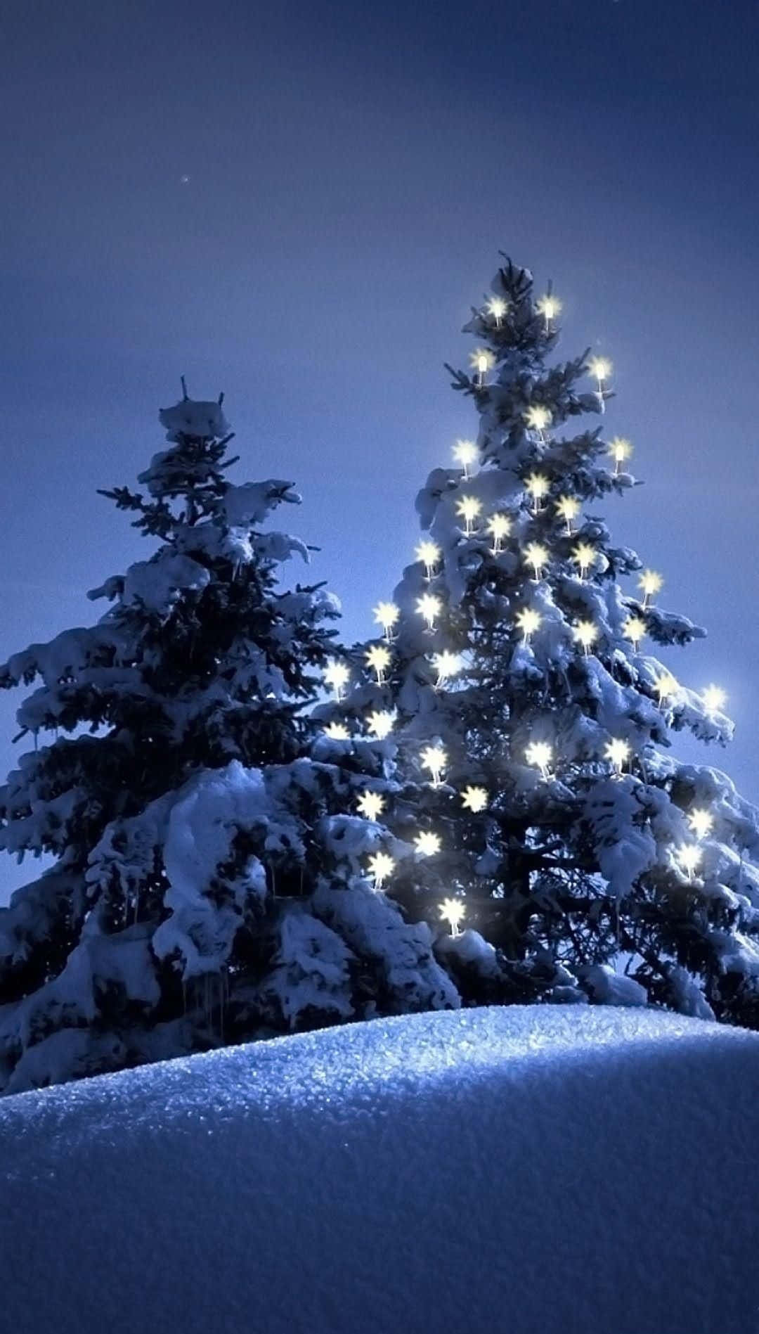 A Winter Wonderland With Snow-covered Trees And Lights. Background