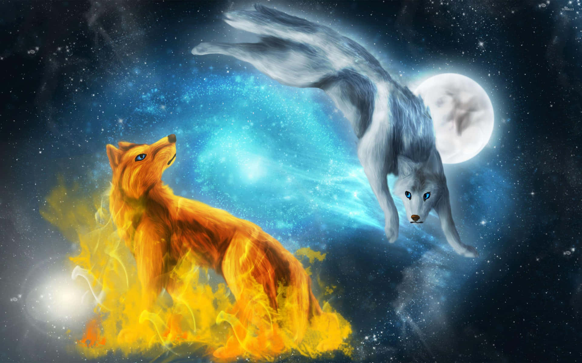 A Wolf And A Wolf In The Sky Background