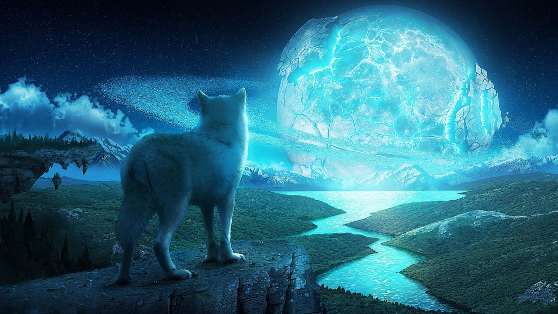 A Wolf Is Standing On A Cliff Looking At The Moon Background