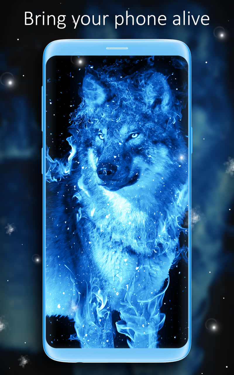 / A Wolf With Fire And Ice Power / Background