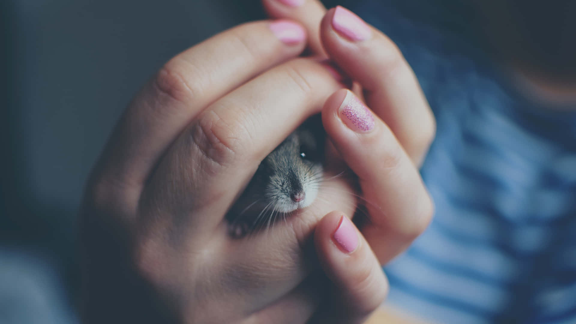 A Woman Holding A Small Mouse In Her Hand Background
