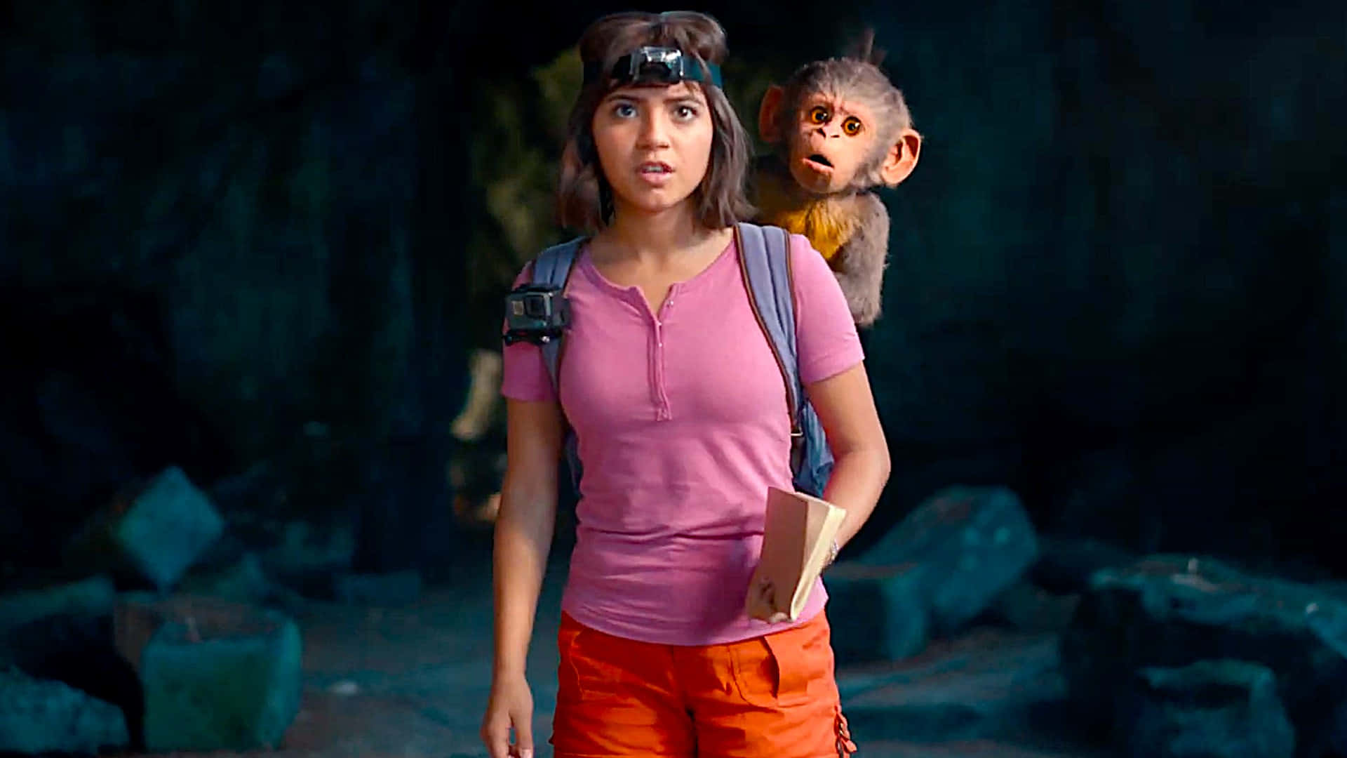 A Woman In Pink Shirt Is Holding A Monkey Background