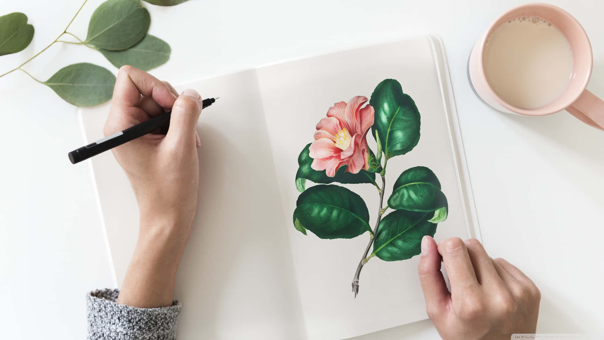 A Woman Is Drawing A Flower In A Notebook Background