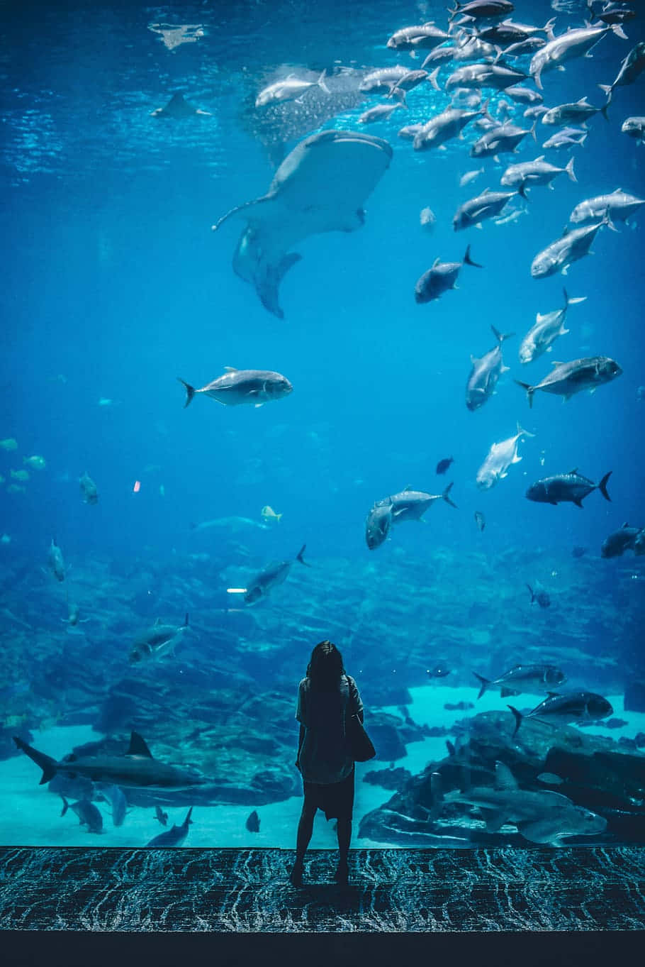 A Woman Is Standing In Front Of An Aquarium Full Of Fish Background