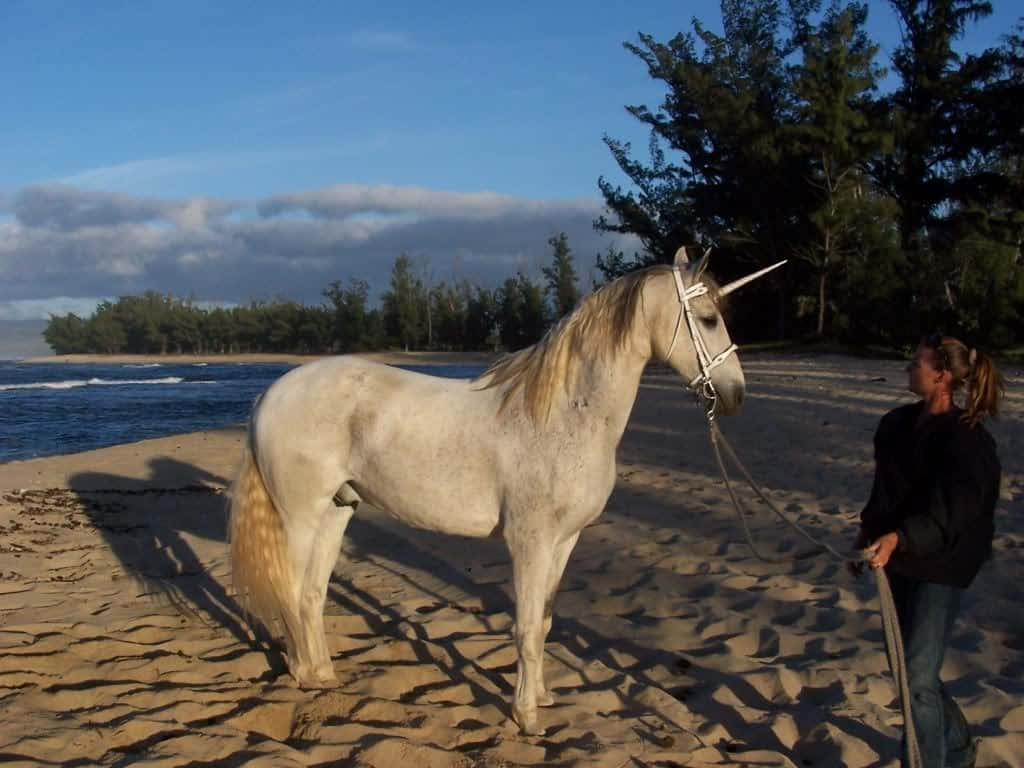 A Woman Is Standing On The Beach With A White Horse Background