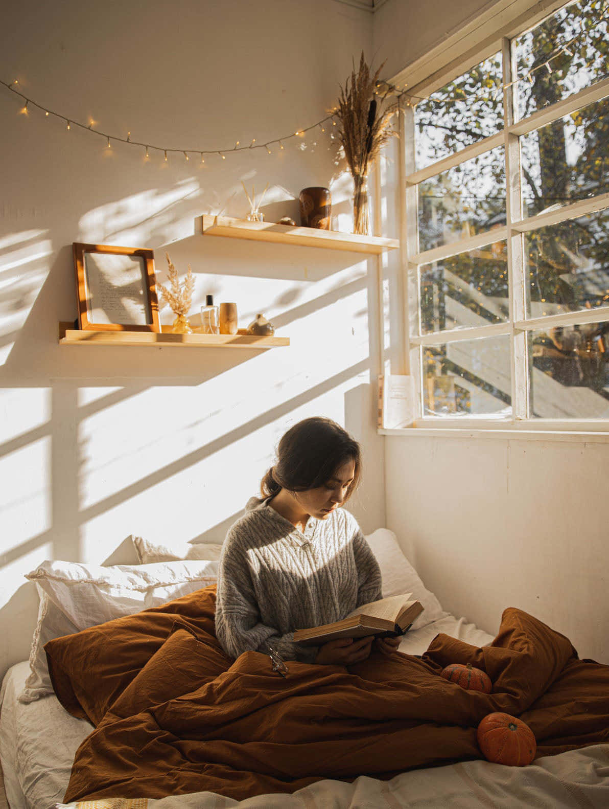 A Woman Reading A Book In Bed Background
