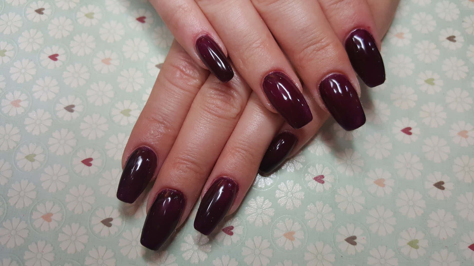 A Woman's Hand With Long Burgundy Nails Background