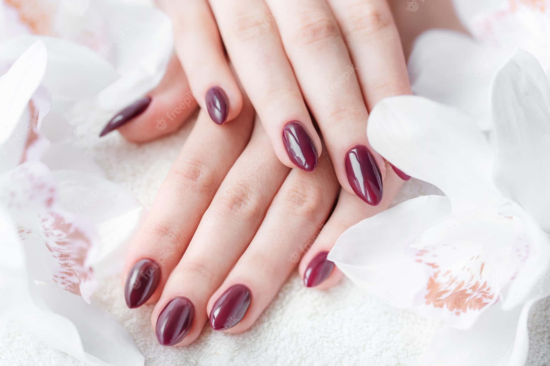 A Woman's Hands With Purple Nails And Flowers Background