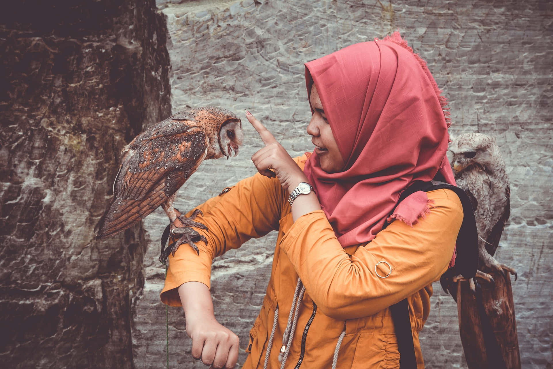 A Woman Wearing A Hijab Touching A Tangible Owl On Her Arm Background