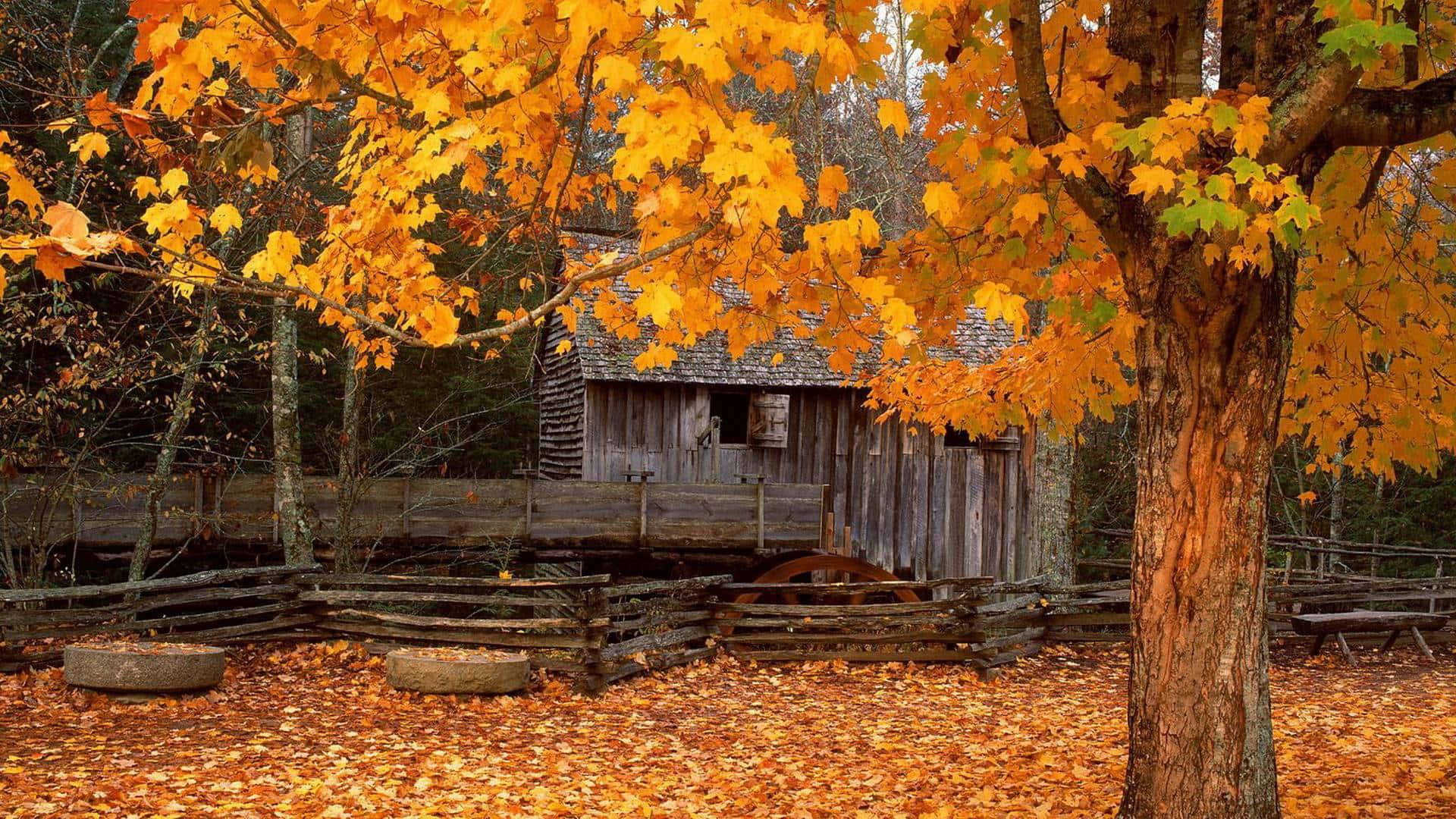 A Wooden Barn With Leaves Surrounding It