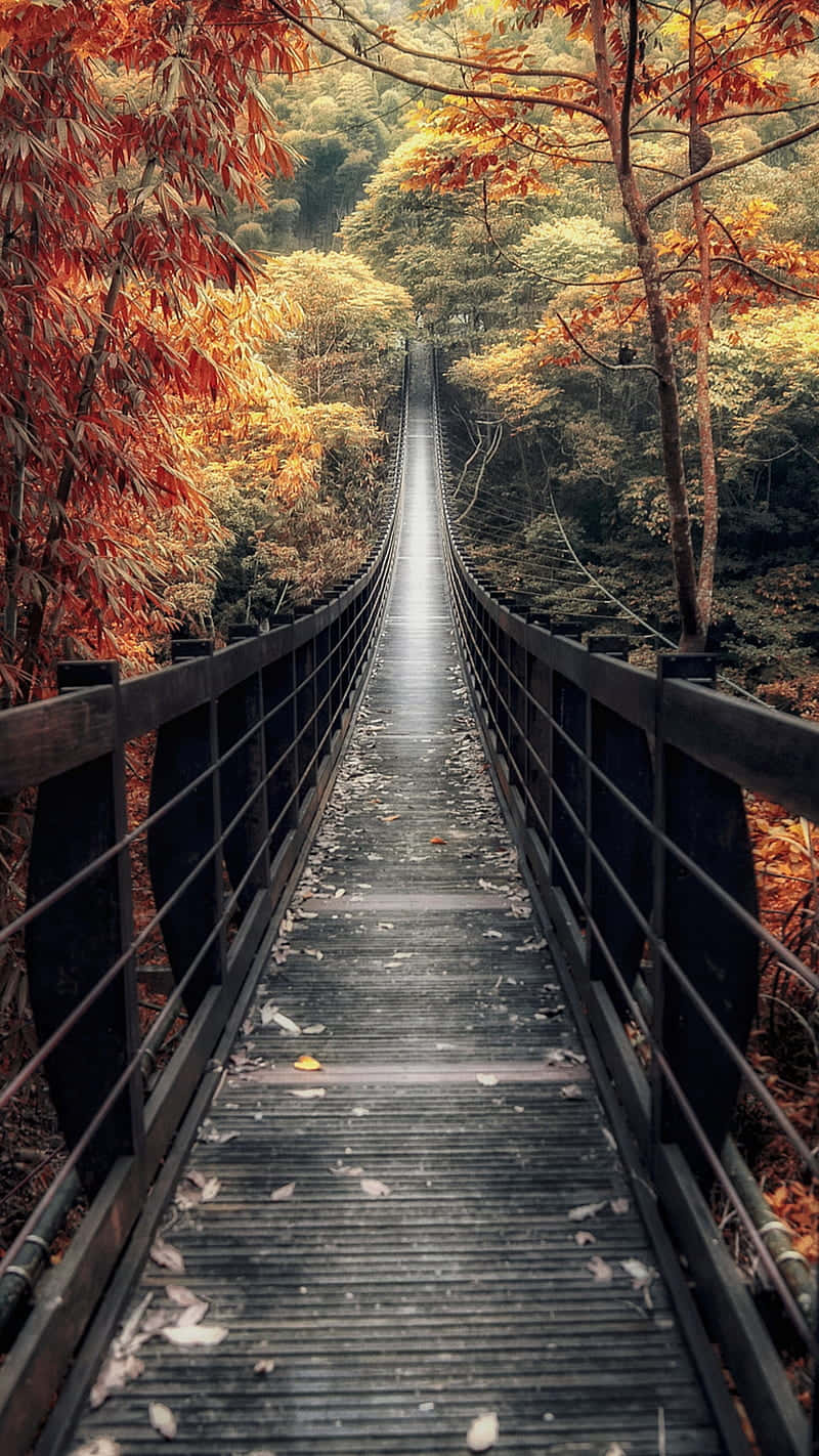 A Wooden Bridge In The Forest With Autumn Leaves Background