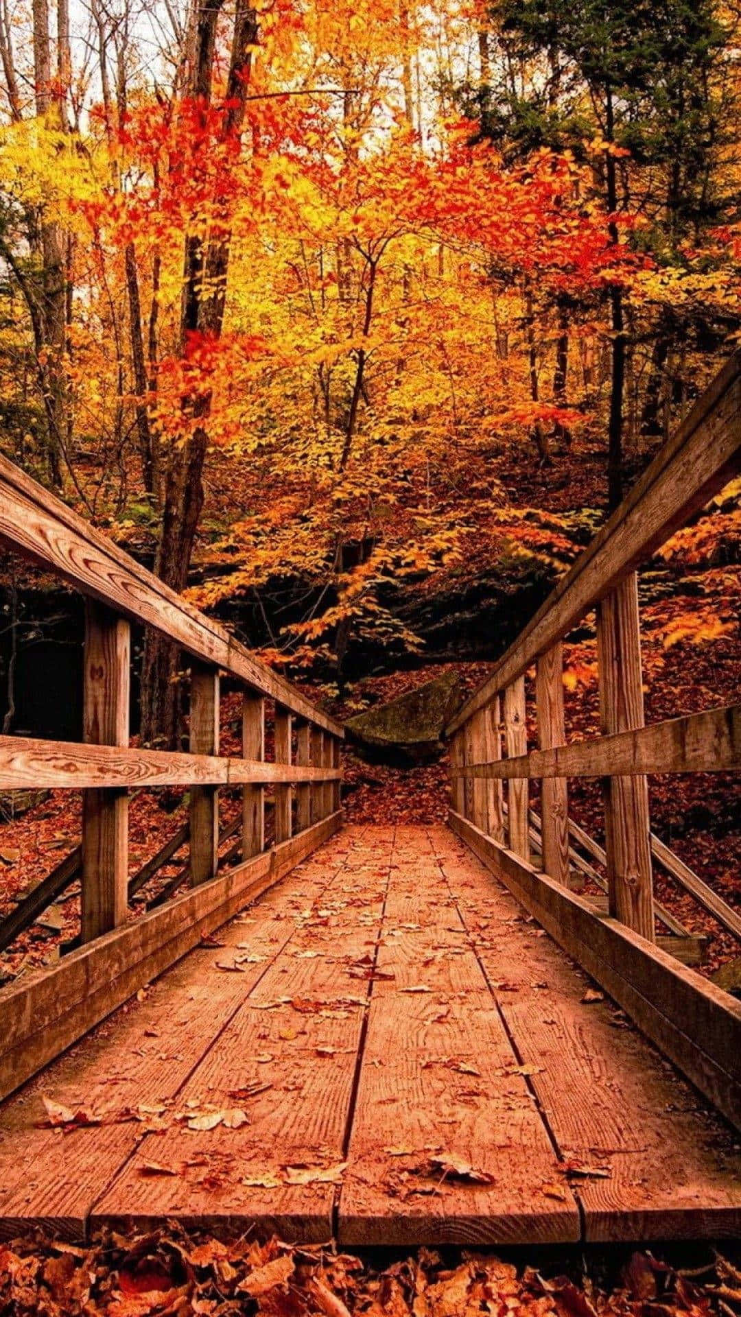 A Wooden Bridge In The Woods With Fall Leaves