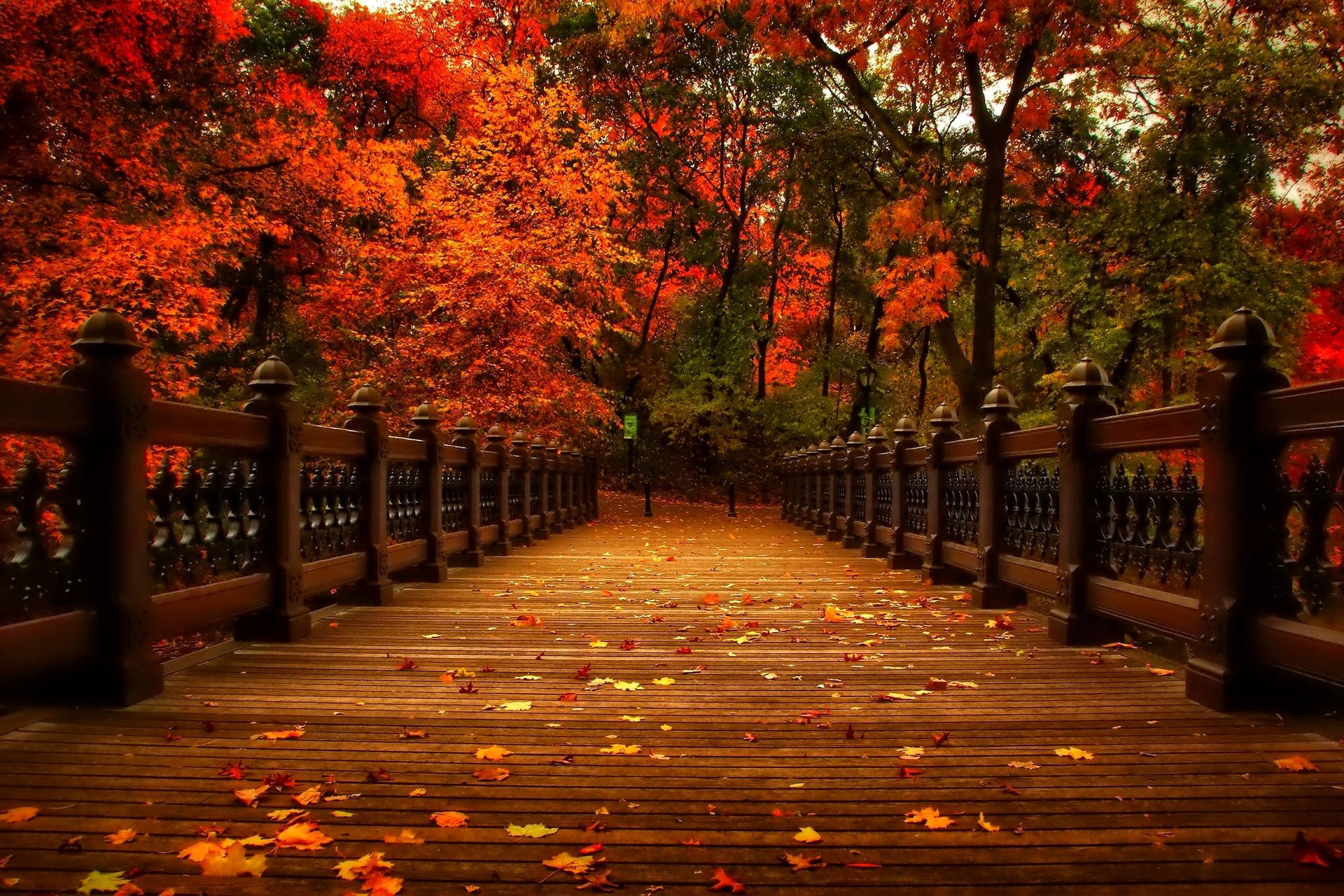 A Wooden Bridge Over An Autumn Forest In November Background