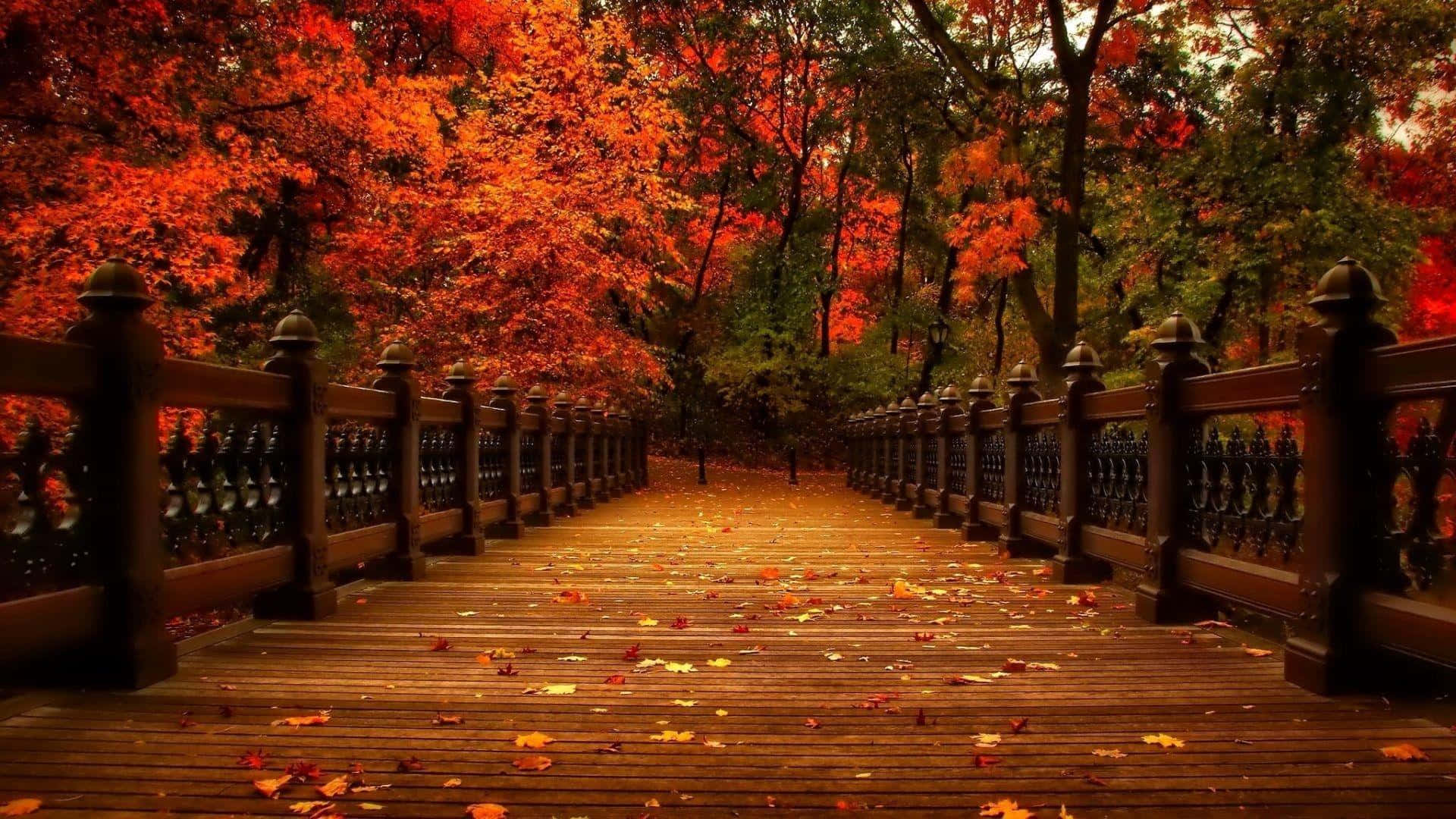 A Wooden Bridge With Red Leaves In The Background Background