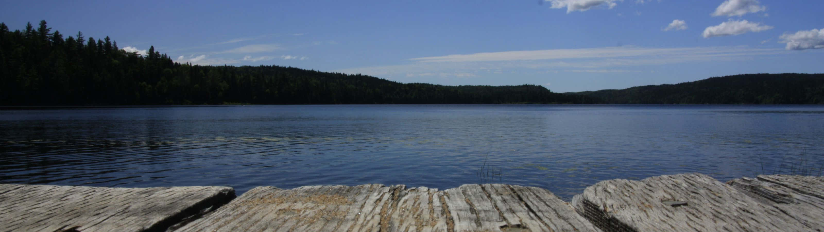A Wooden Dock Is In The Middle Of A Lake Background