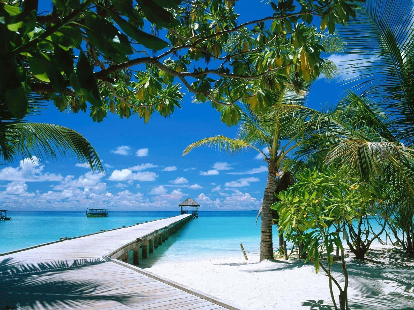 A Wooden Walkway Leading To A Beach Background