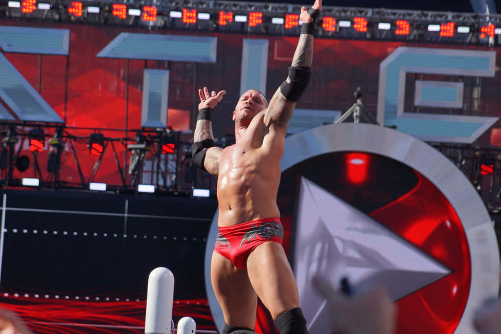 A Wrestler Is Standing On A Stage