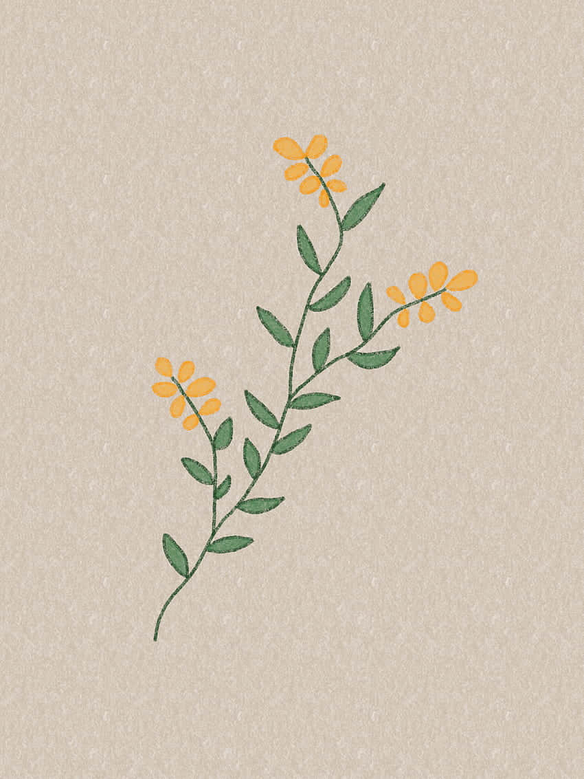 A Yellow Flower On A Beige Background Background