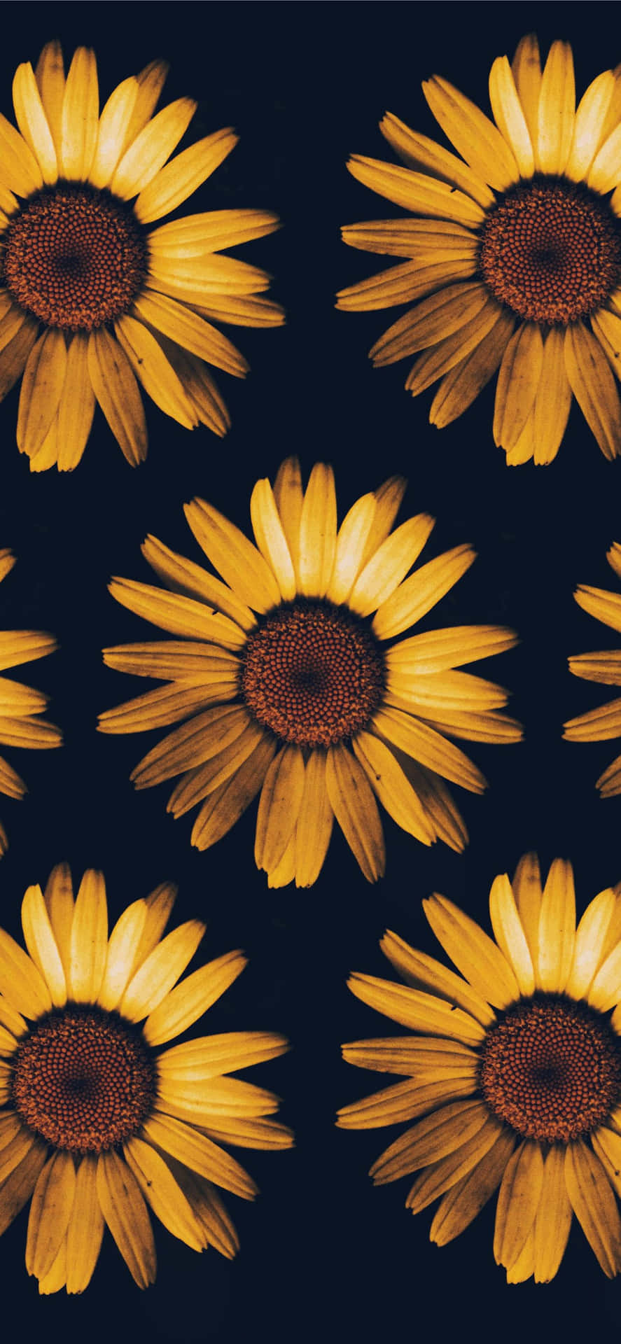 A Yellow Flower Pattern On A Dark Background Background
