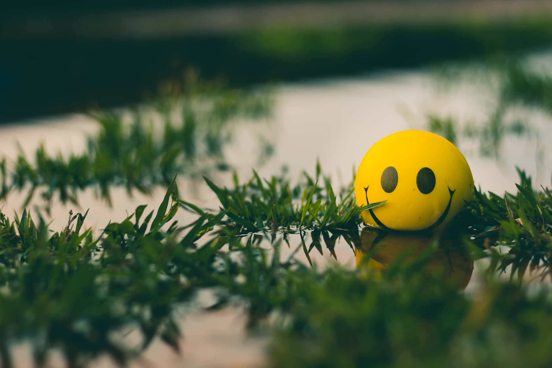 A Yellow Smiley Face Sitting In The Grass Background